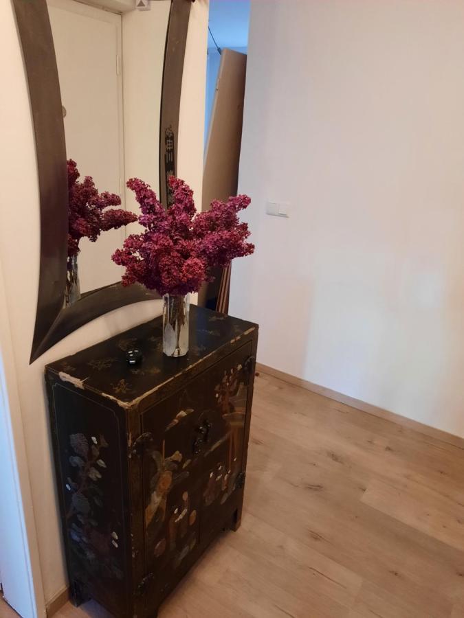 Schone Wohnung In Der Grazer Innenstadt Exteriér fotografie
